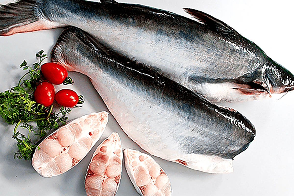 7 Manfaat dan Keunggulan Ikan Patin Bagi Tubuh Manusisa