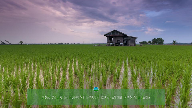 Apa yang Dihadapi dalam Kegiatan Pertanian?