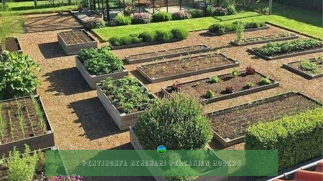 Pentingnya Memahami Pertanian Modern Pentingnya Memahami Pertanian Modern