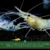 Agrikompleks 27