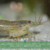 Agrikompleks252028129 23