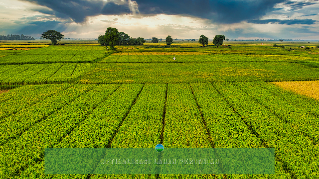 Optimalisasi Lahan Pertanian