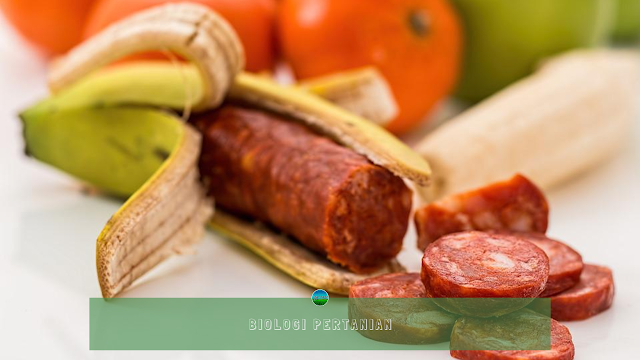 Biologi Pertanian Biologi Pertanian