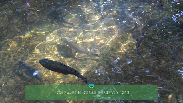 Jenis-Jenis Kolam Budidaya Ikan Jenis-Jenis Kolam Budidaya Ikan