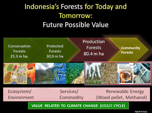 Forest2520YR 9