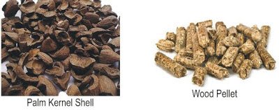 Beli Wood Pellet atau PKS (Palm Kernel Shell) ?