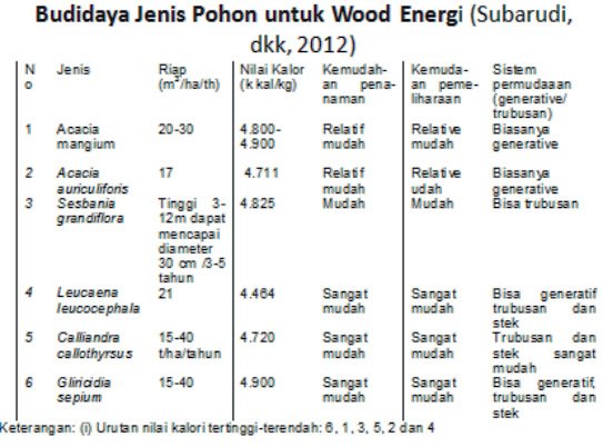 Menanam Kaliandra Untuk Perbaikan Tanah Sehingga Tercukupi Pangan, Energi dan Air 4 Tanaman2520Trubusan 1