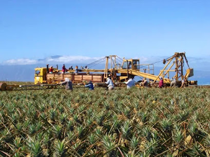 Produksi Listrik dan Biochar dari Limbah Perkebunan Nanas