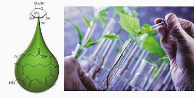 biobased2520chemical 2