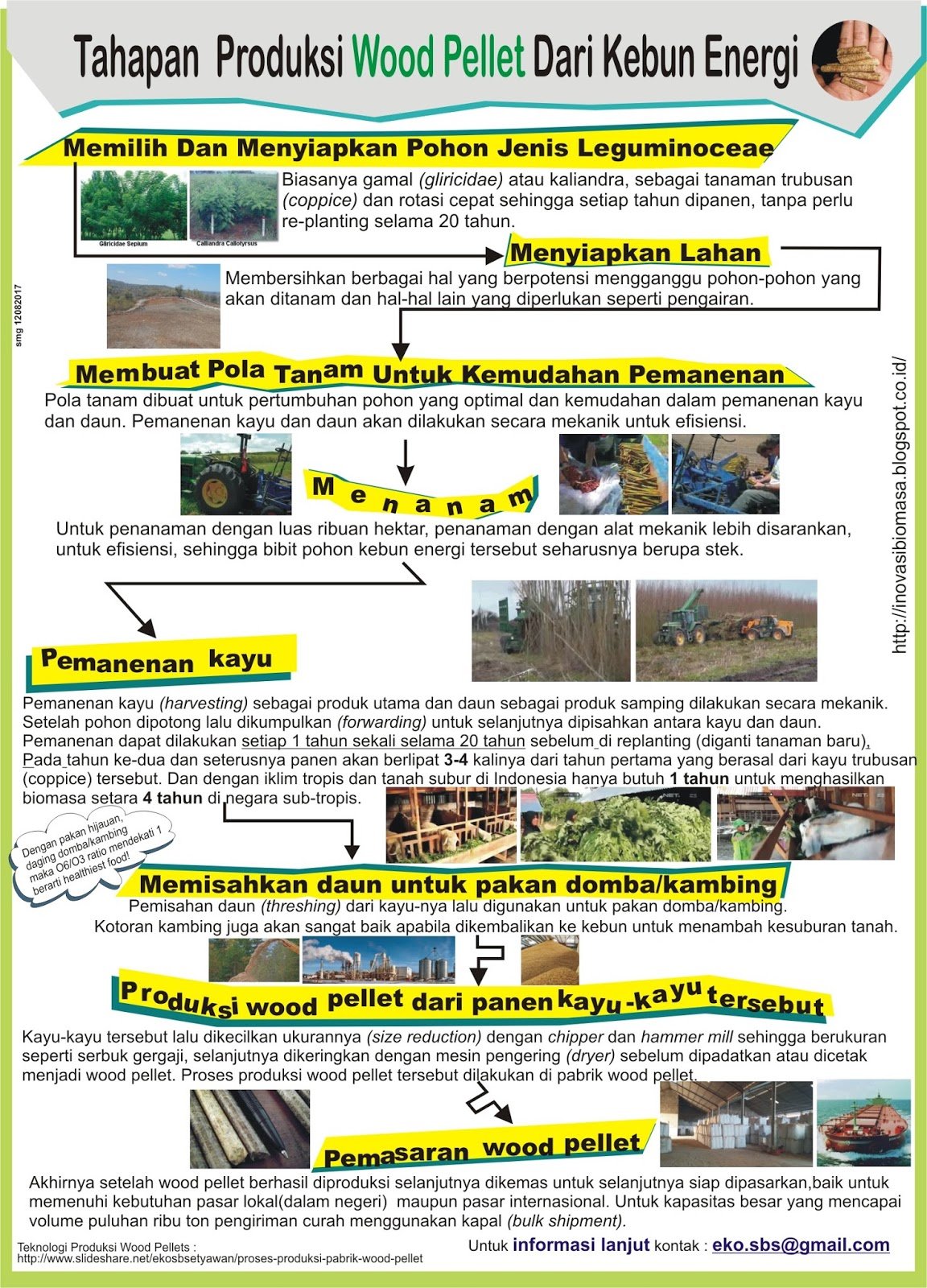 Merancang Produksi Wood Pellet Kapasitas Besar Dari Kebun Energi