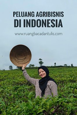 Peluang Agribisnis di Indonesia dan Budidaya Strawberry di Iklim Tropis