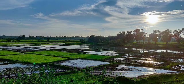 Membangun kedaulatan pangan Membangun kedaulatan pangan
