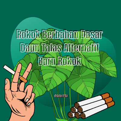 Rokok Berbahan Dasar Daun Talas Alternatif Baru Rokok