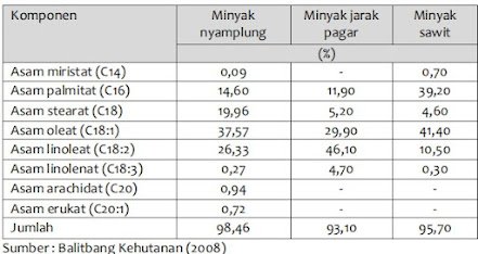 Kegagalan Biodiesel Jarak Pagar dan Peluang Nyamplung