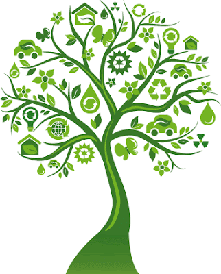 tree2520for2520energy
