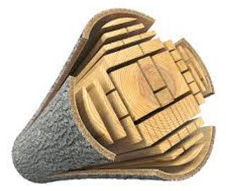 wood 3