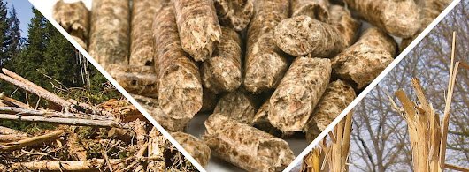 Proses Pemelletan Biomasa dan Menjaga Stabilitas Produksi Pabrik Wood Pellet