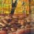 wood2520pellet2520from2520energy2520planatation 6