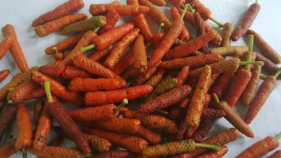 Manfaat Cabe Jamu Untuk Kesehatan