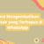 Cara2520Mengembalikan2520Kontak2520yang2520Terhapus2520di2520WhatsApp