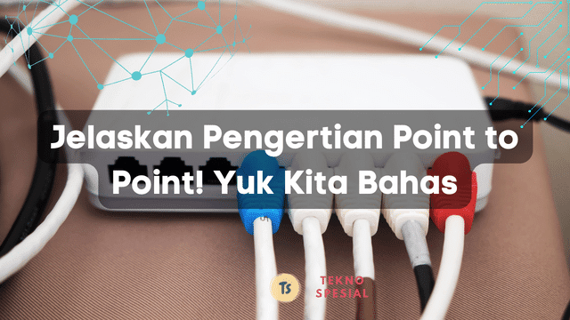 Jelaskan Pengertian Point to Point