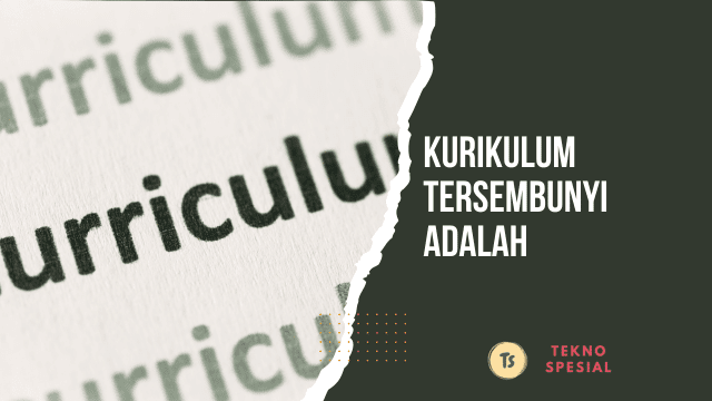 Kurikulum Tersembunyi adalah? Berikut Penjelasannya