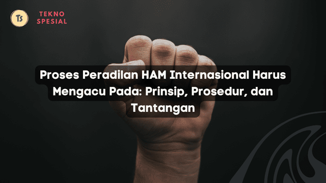 Proses Peradilan HAM Internasional Harus Mengacu Pada: Prinsip, Prosedur, dan Tantangan