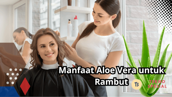 Manfaat Aloe Vera untuk Rambut