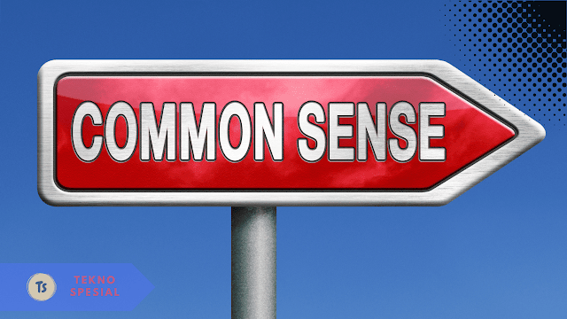 Common Sense adalah, Berikut Pengertian dan Contohnya!