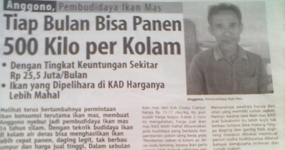 Belajar Teknik Budidaya Ikan Mas Wirausahawan Anggono