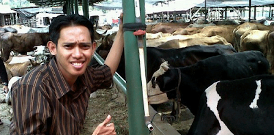 rajaaqiqah.png jualan kambing raja aqiqah