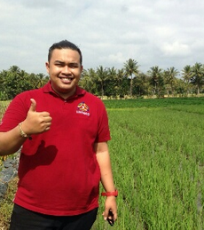 berasorganik.png jual beras organik