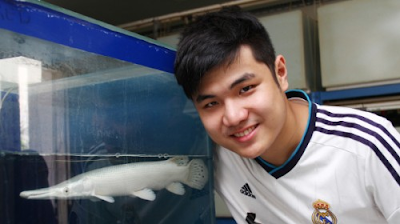 Jual Ikan Hias di Kaskus Pengusaha Nicholas Kurniawan
