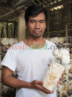 bisnisukmjamur.png bisnis ukm jamur