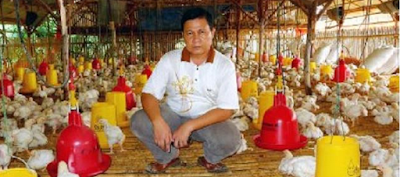 Dulu Kenek Sekarang Pengusaha Distributor Besar Ayam