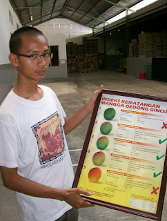 eksportirmangga.png pengusaha eksportir mangga