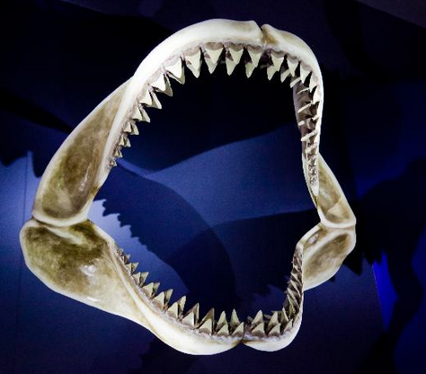 pinjamanrentenir.png hutang rentenir