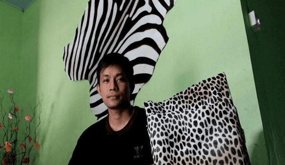 Jualan Kulit Harimau Sumatra Aman Ala Catur