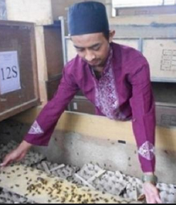 Hasil Jualan Jangkrik Seratus Juta Rupiah