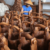kayu2520bekas2520muda