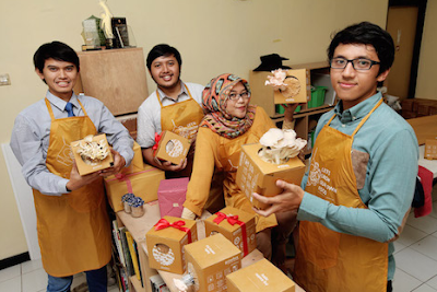 Jualan Jamur Growbox Rahasia Persahabatan Pengusaha