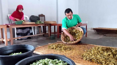 Pengusaha Membuat Keripik Pare Bisnis Menggiurkan