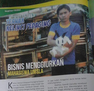 kiat usaha kelinci usahakelinci.png