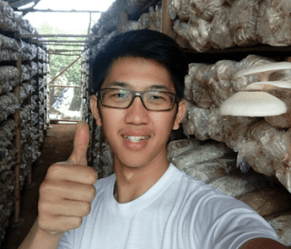 Anak Tukang Bangungan Sukses Berbisnis Jamur