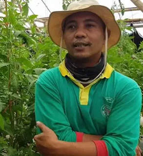 peluangusaha.png peluang usaha baby buncis