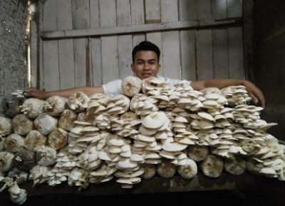 Wirausaha Bangun Desa Pengusaha Muda Defrian