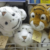 raja2520boneka