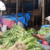 saudagar2520sayur