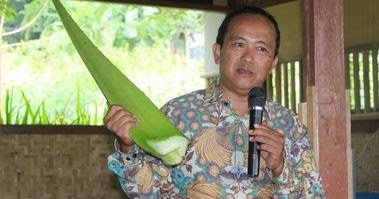 Menjadi Petani Lidah Buaya Prospek Wirausaha