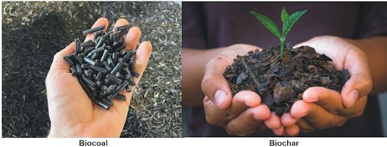 Produksi Biochar atau Biocoal ?